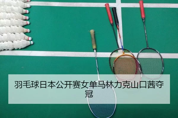 羽毛球日本公开赛女单马林力克山口茜夺冠